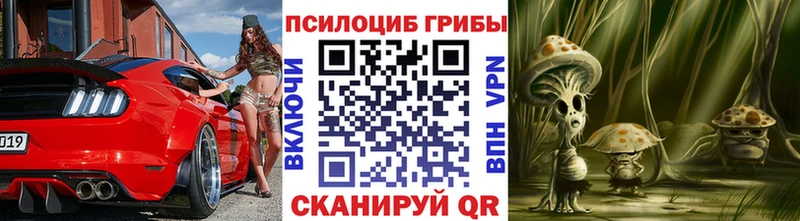 Псилоцибиновые грибы MAGIC MUSHROOMS  цены   Иланский 