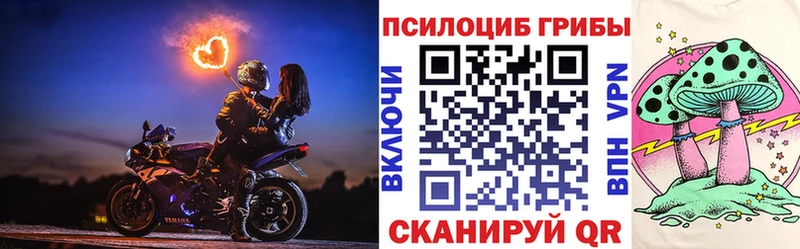 Псилоцибиновые грибы Cubensis Иланский